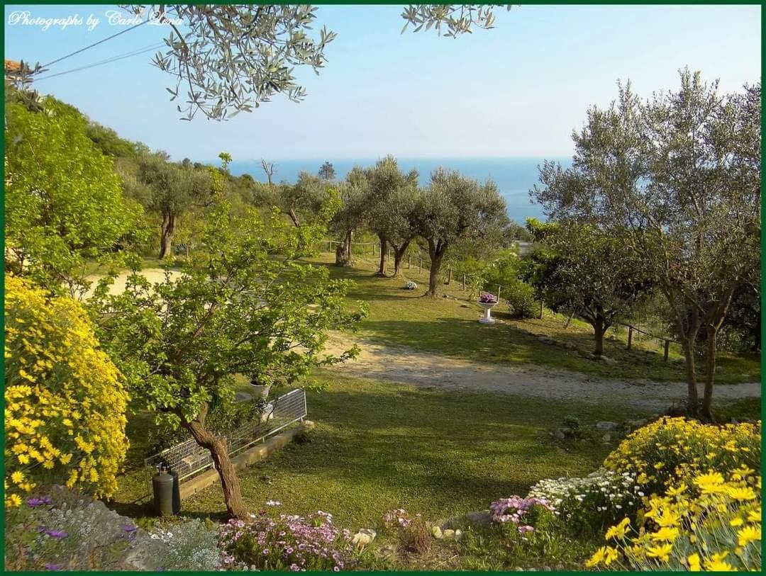 Villa Pierina Финале Лигуре Экстерьер фото